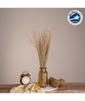 GloboStar® SILVERHAIRGRASS 36545 Αποξηραμένο Φυτό Ασημένια Χλόη - Μπουκέτο Διακοσμητικών Κλαδιών Μπεζ Υ60cm - Σετ 100 τμχ